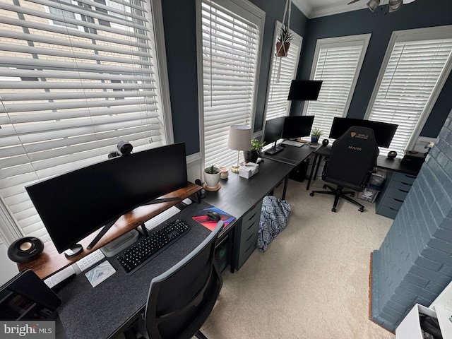 carpeted office with ceiling fan, crown molding, and a healthy amount of sunlight