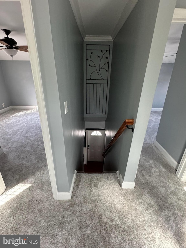 stairs with ornamental molding, ceiling fan, and carpet