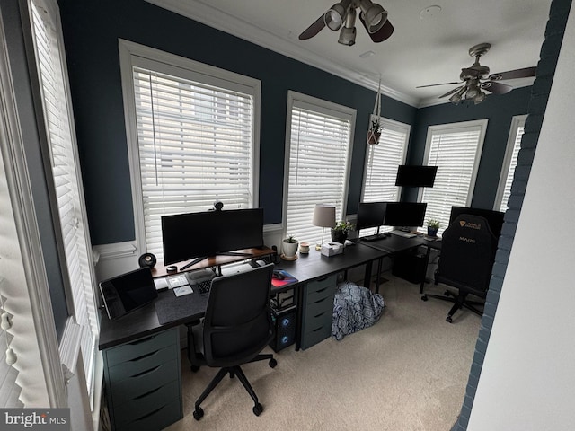 carpeted office space featuring ornamental molding and ceiling fan