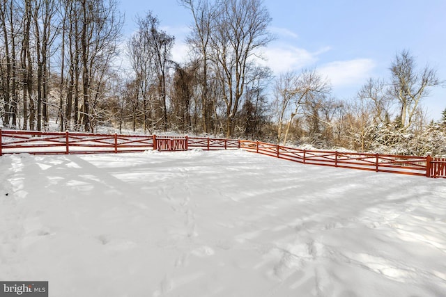 view of snowy yard