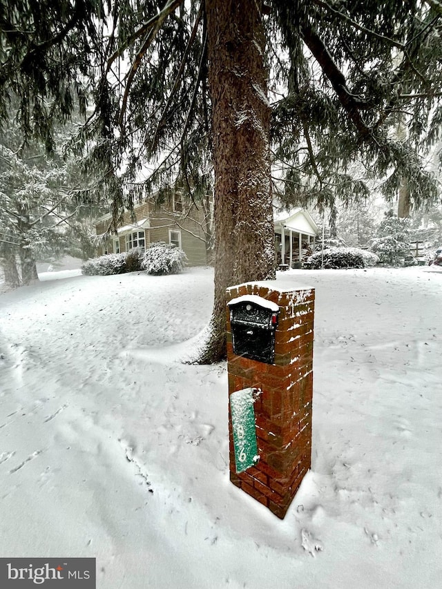 view of yard layered in snow