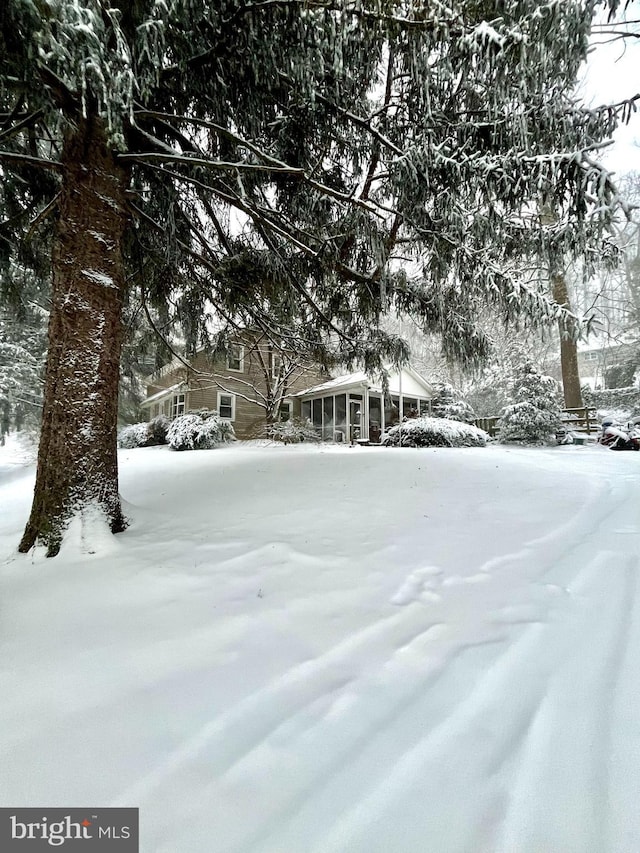 view of yard covered in snow