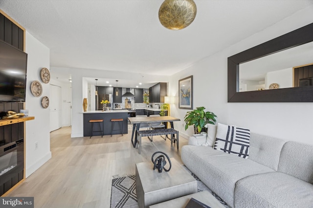 living room with light hardwood / wood-style flooring