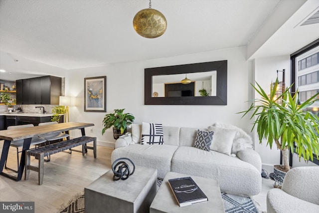 living room with light hardwood / wood-style flooring and sink