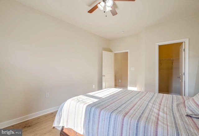 bedroom featuring ceiling fan, a walk in closet, a closet, and light wood-type flooring