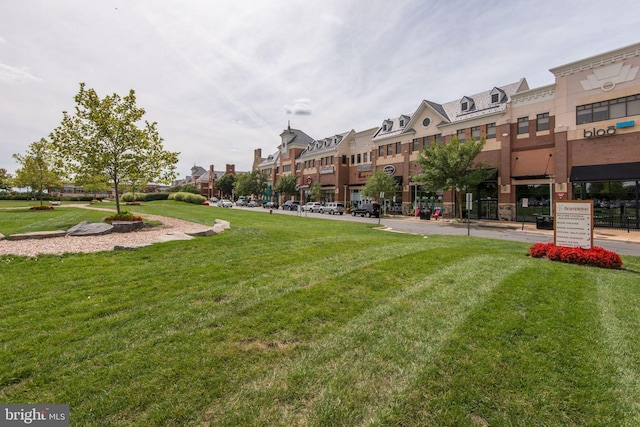 view of home's community with a lawn