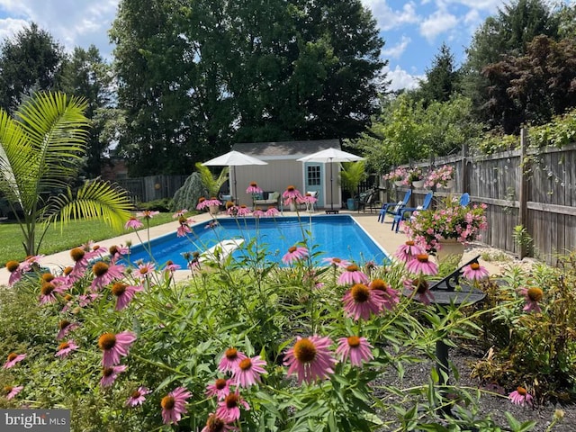 view of swimming pool featuring an outbuilding