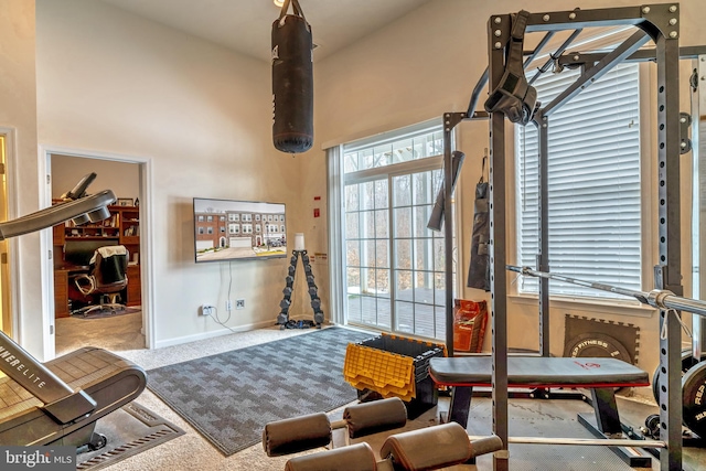 workout room with a high ceiling and carpet