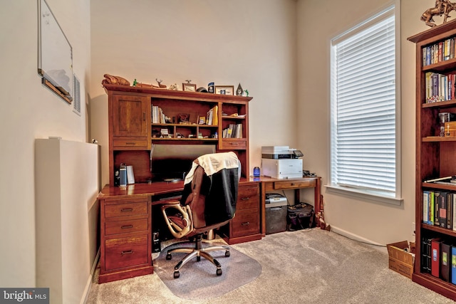 office featuring light carpet and a wealth of natural light