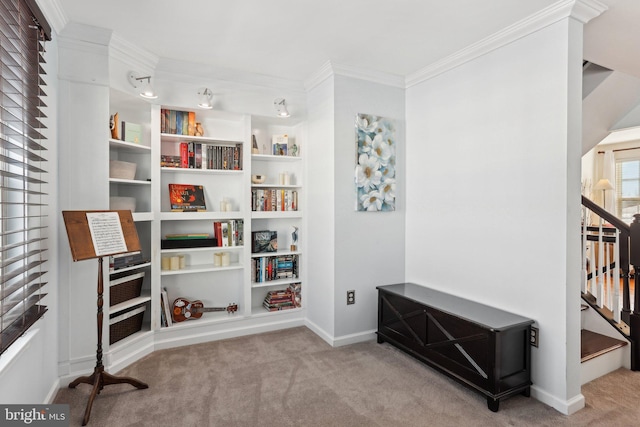 interior space with ornamental molding and light colored carpet