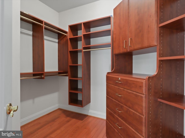 walk in closet featuring wood-type flooring