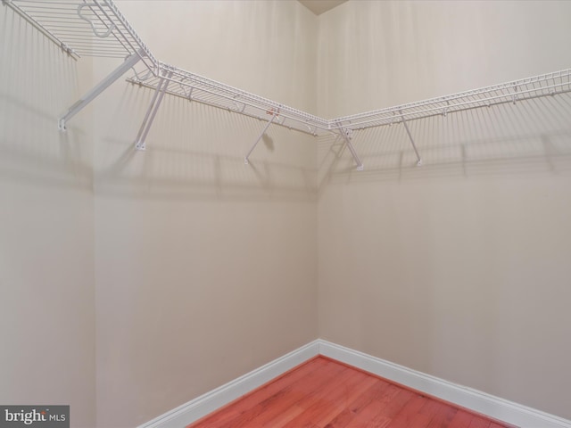 walk in closet featuring wood-type flooring