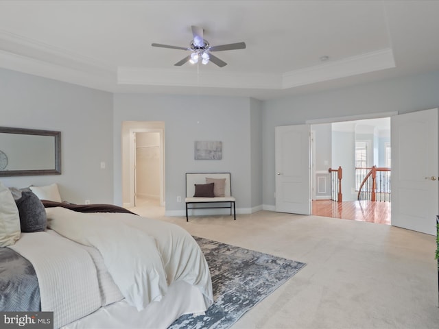 carpeted bedroom featuring a walk in closet, ornamental molding, a raised ceiling, and ceiling fan