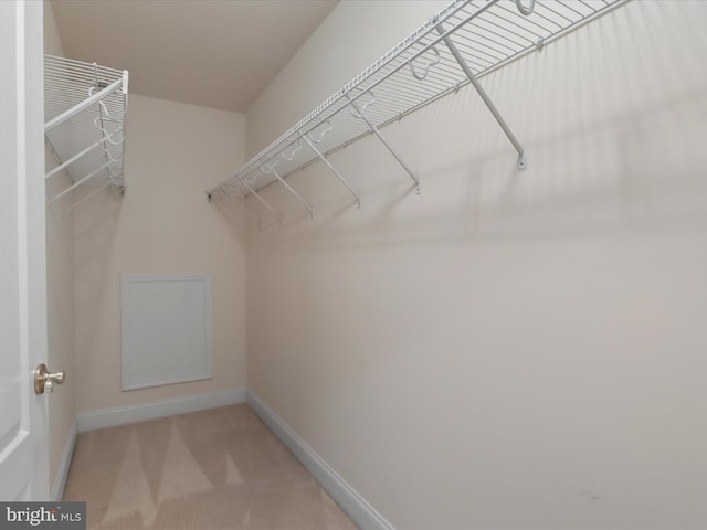 spacious closet featuring light colored carpet