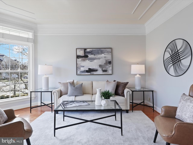 living room featuring crown molding and light hardwood / wood-style flooring