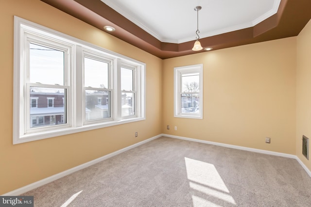 carpeted spare room with ornamental molding and a raised ceiling