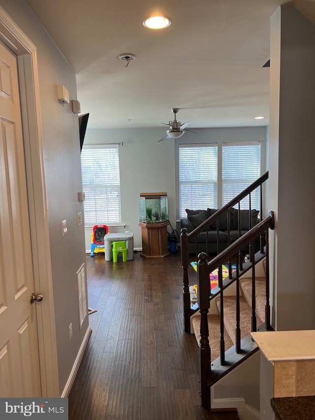 interior space featuring hardwood / wood-style floors and ceiling fan