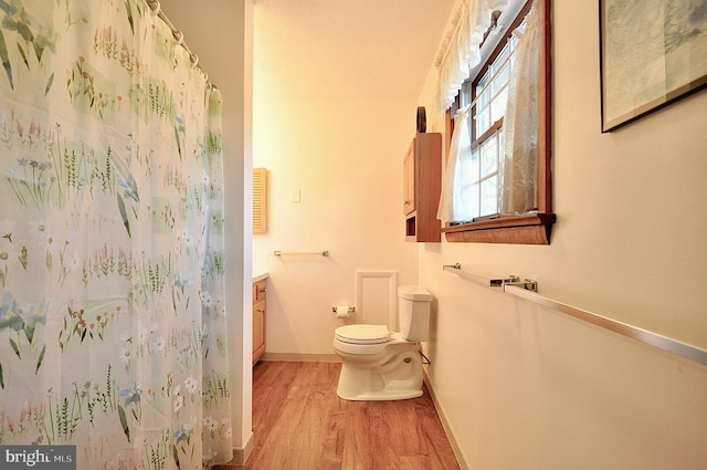 bathroom featuring hardwood / wood-style flooring, vanity, walk in shower, and toilet