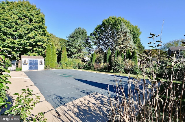 view of swimming pool featuring a storage unit