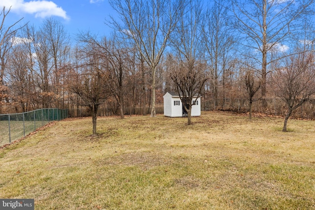 view of yard with a shed