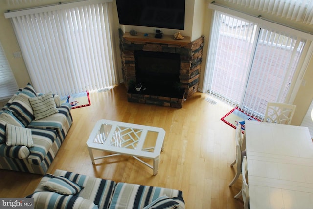 living room featuring wood-type flooring and a fireplace