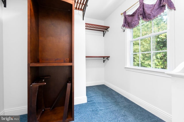 spacious closet with carpet floors