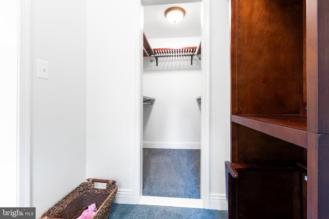 walk in closet featuring carpet floors