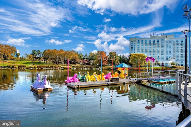 dock area with a water view