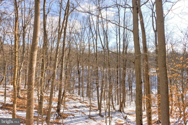 view of snowy landscape