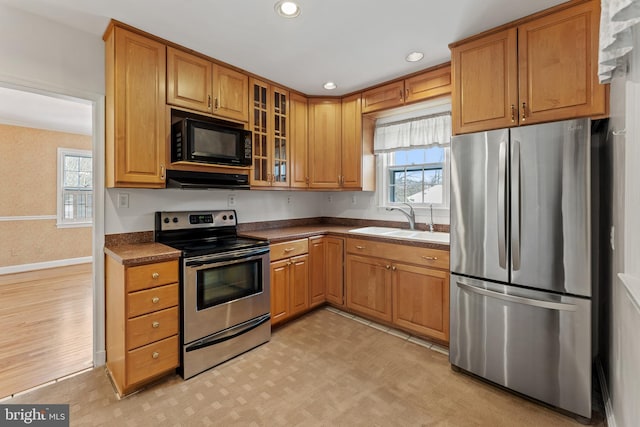 kitchen with sink, ventilation hood, and stainless steel appliances