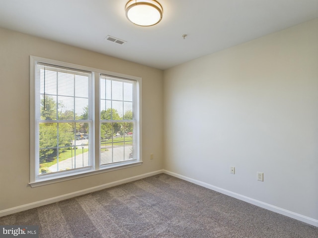 carpeted empty room featuring a wealth of natural light