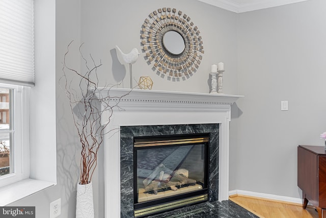 interior details featuring a premium fireplace, crown molding, and hardwood / wood-style floors