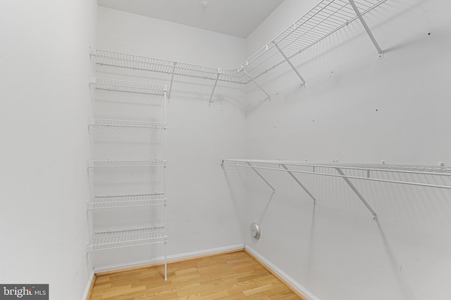 walk in closet with hardwood / wood-style floors