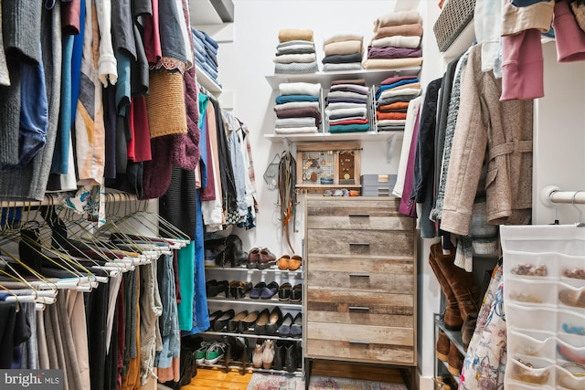 view of walk in closet