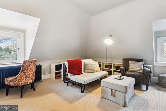 sitting room with radiator heating unit and carpet flooring