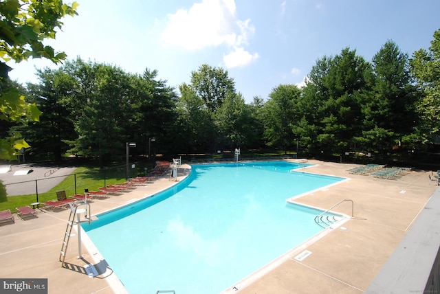 view of pool with a patio area