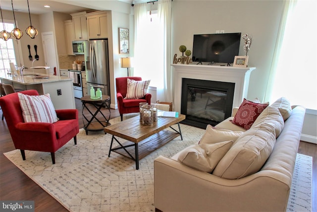 living room featuring sink and hardwood / wood-style flooring