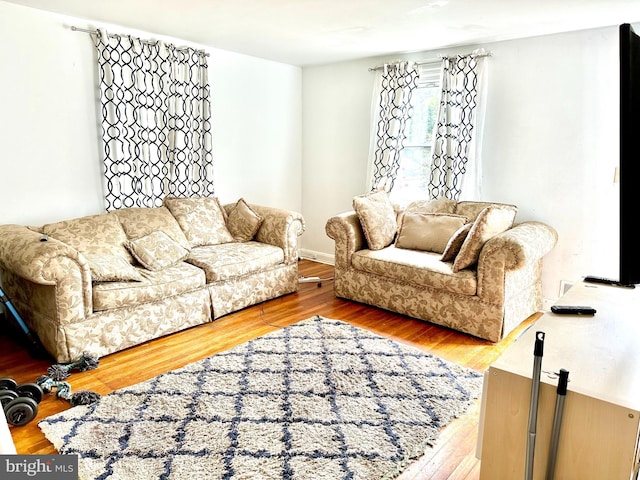 living room with wood-type flooring