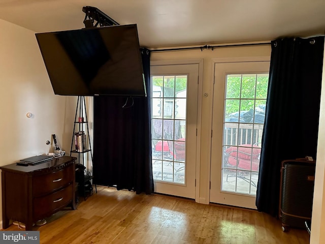 doorway featuring light wood-type flooring and a wealth of natural light