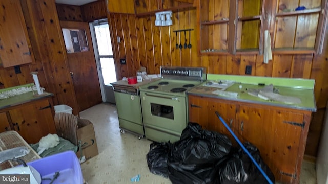 kitchen with wooden walls and range