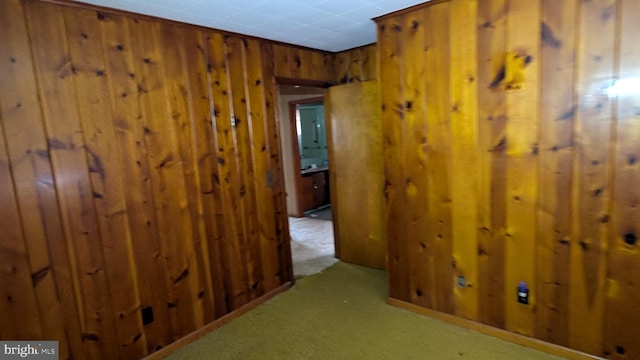 interior space with light colored carpet and wooden walls