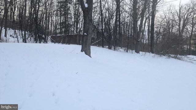 view of yard covered in snow