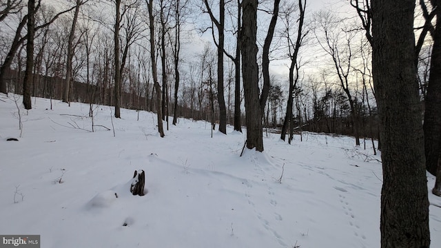 view of yard covered in snow