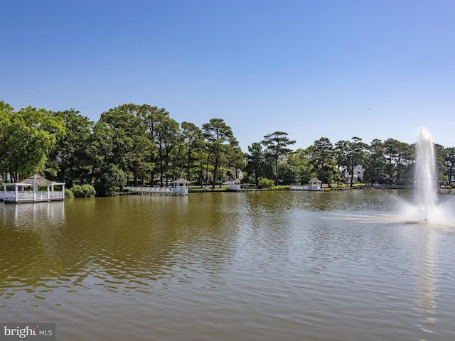 view of water feature