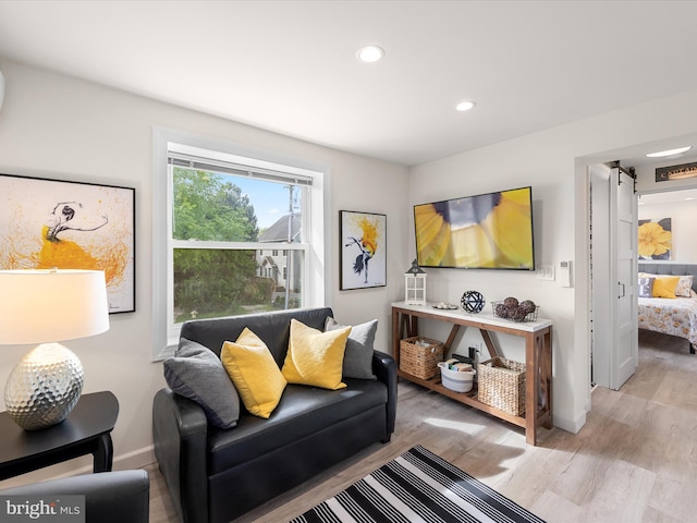 living room featuring light hardwood / wood-style flooring