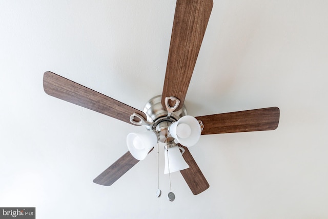 room details with ceiling fan