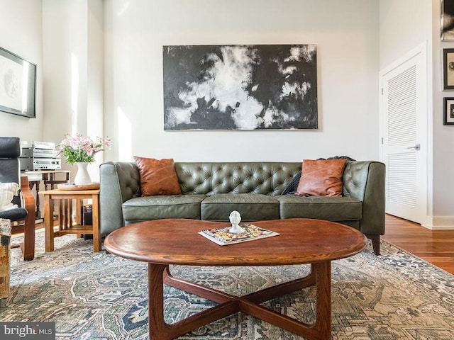 living room with wood-type flooring