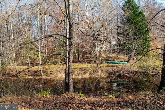 view of local wilderness