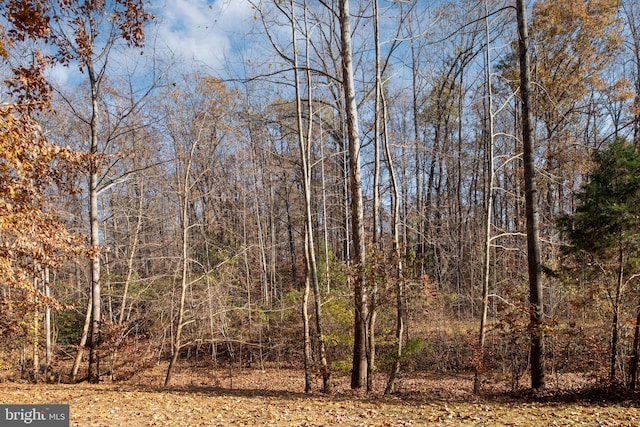 view of local wilderness