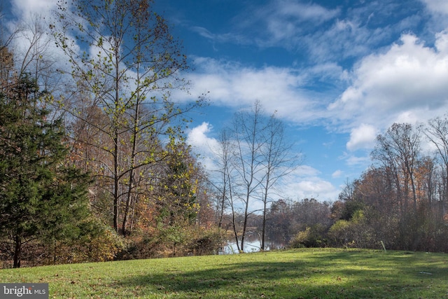 view of yard featuring a water view